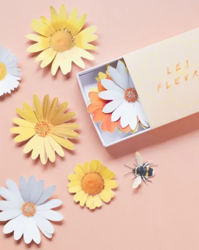 Flores de papel | Aster