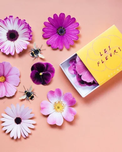 Flores de papel | Bouquet