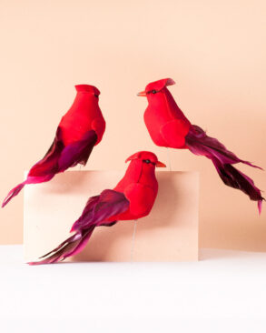cardenal decorativo con plumas reales