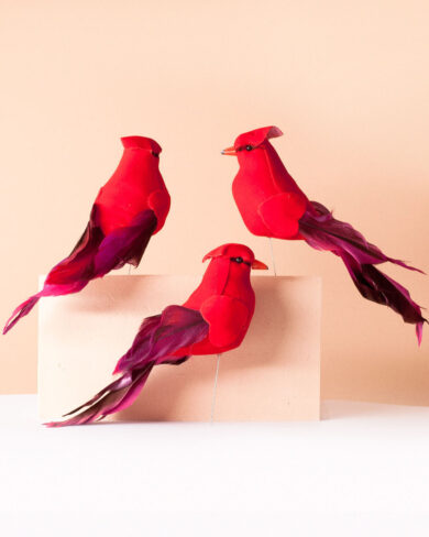 cardenal decorativo con plumas reales
