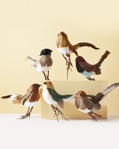 Pajarito Ámbar (Set de 6)