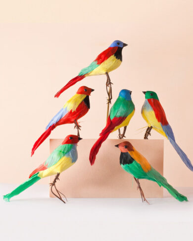 Pajarito Diamante (Set de 6)