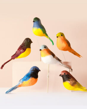 Aves petirrojos simil real