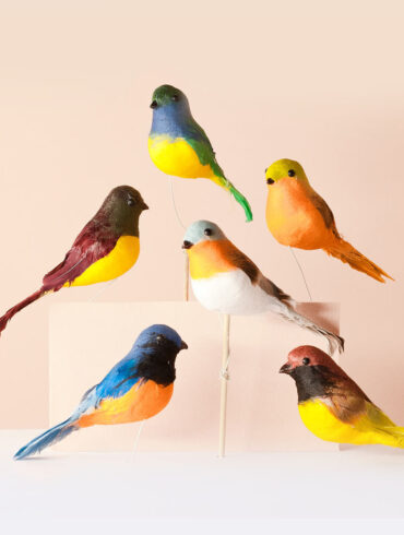 Aves petirrojos simil real