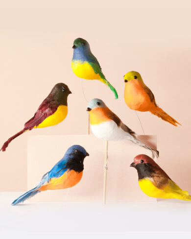 Aves petirrojos simil real