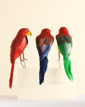 guacamayo decorativo rojo