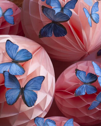 Mariposa de papel Morfo Azul Común (Set de 24)