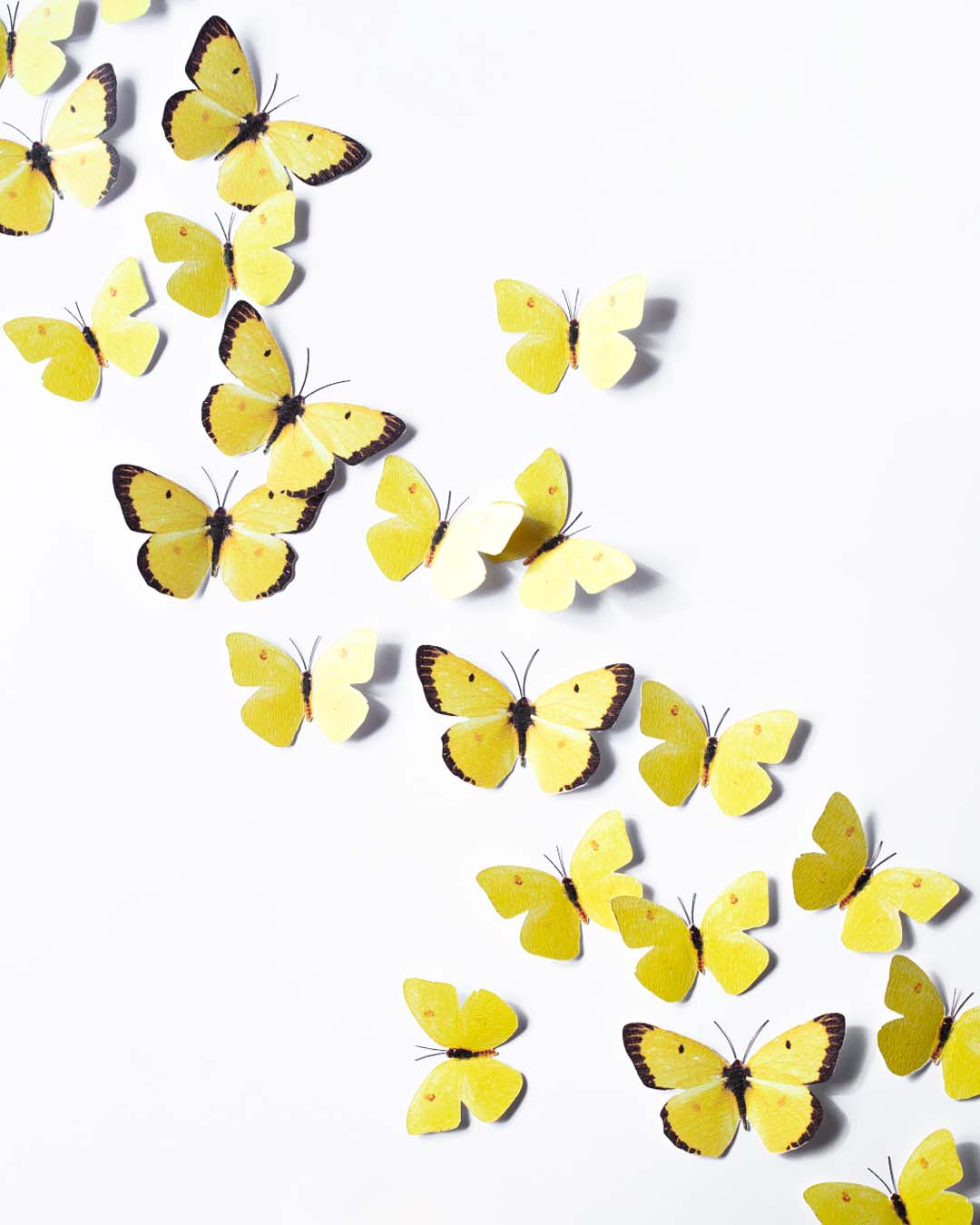 Mariposas amarillas dispuestas en diagonal ascendente para decoración de paredes de interior