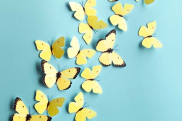 pared aguamarina decorada con mariposas amarillas de papel de La Casa Faure