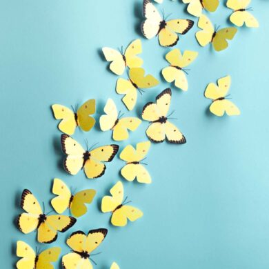 pared aguamarina decorada con mariposas amarillas de papel de La Casa Faure