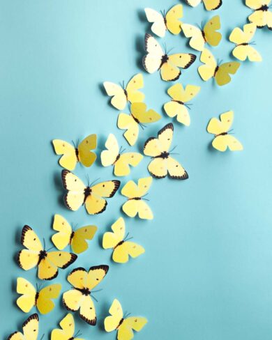 pared aguamarina decorada con mariposas amarillas de papel de La Casa Faure