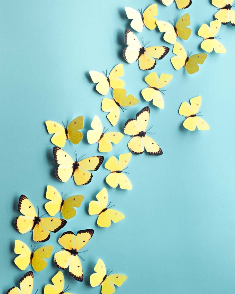 pared aguamarina decorada con mariposas amarillas de papel de La Casa Faure