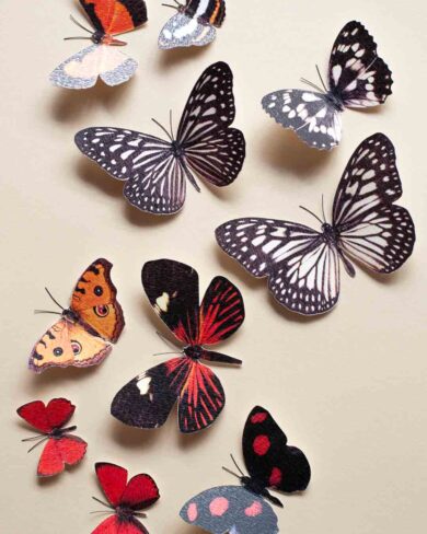 Colección de Mariposas Rojas Rubí | Set de 36