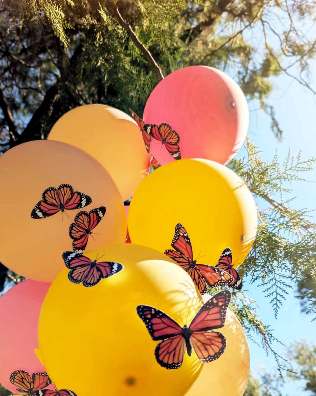 mariposas monarca naranja posadas sobre globos con fondo de árboles y cielo celeste