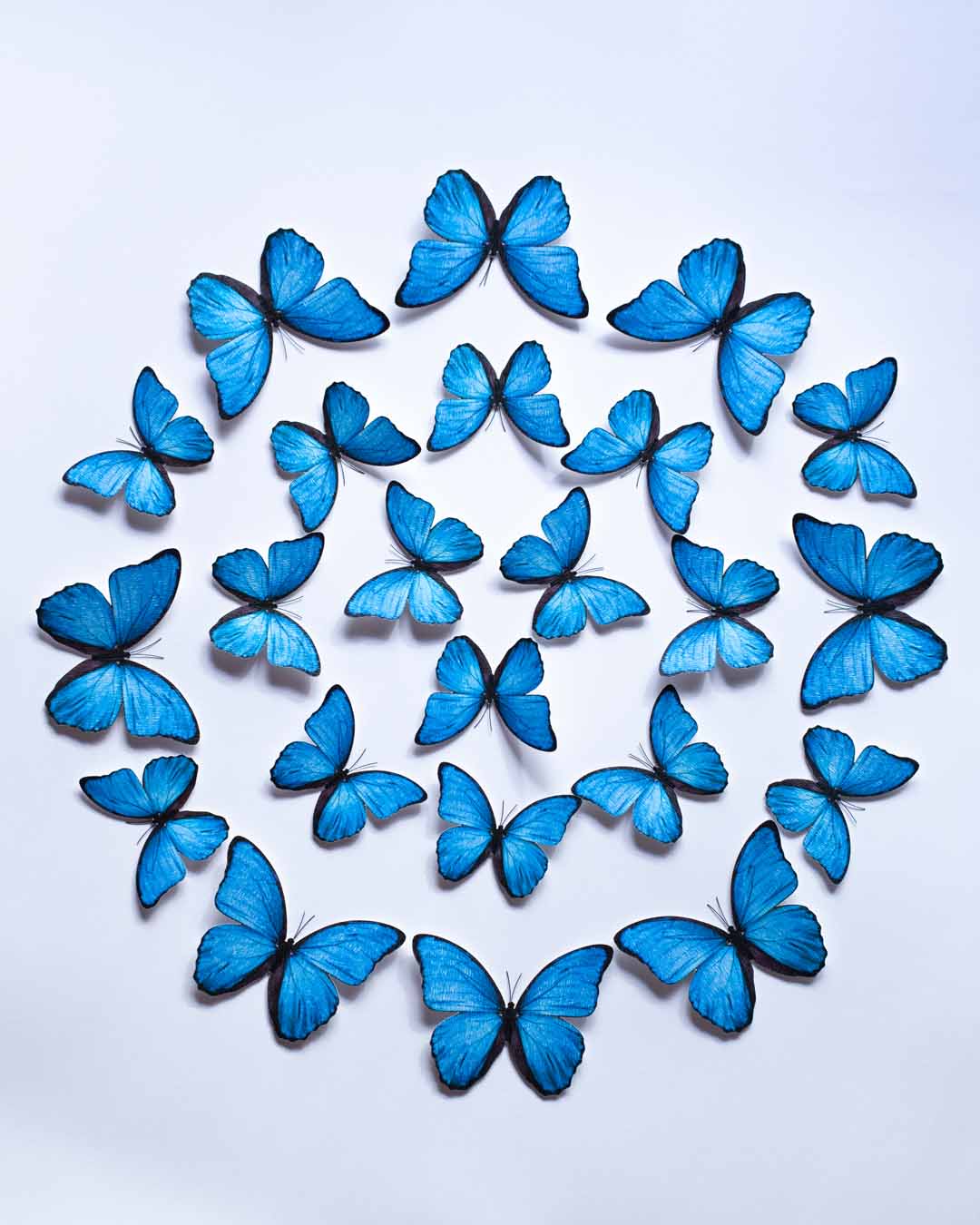 Mariposas de cartulina en relieve formando un mandala para la pared del living