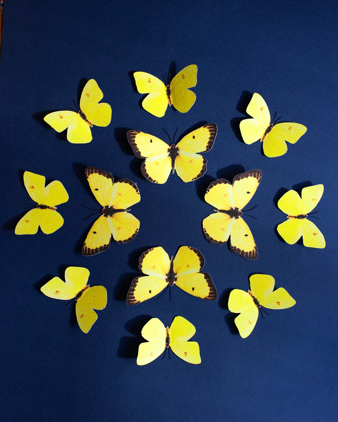 Mandala pequeño de mariposas de cartulina amarillas para acentos decorativos