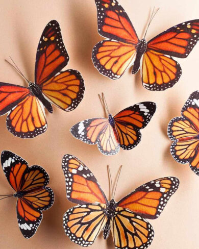 Mariposa de papel Monarca Naranja (Set de 24)