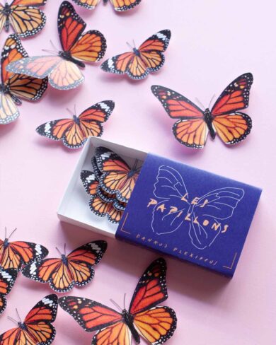 Mariposas Monarca Naranjas | Set de 24