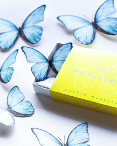 Mariposas Morpho Aguamarina | Set de 24