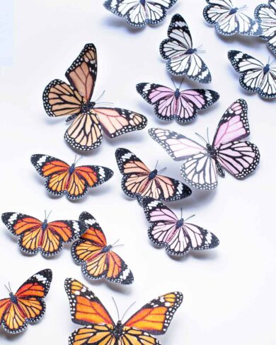 Mariposas Monarca Degradé | Set de 24