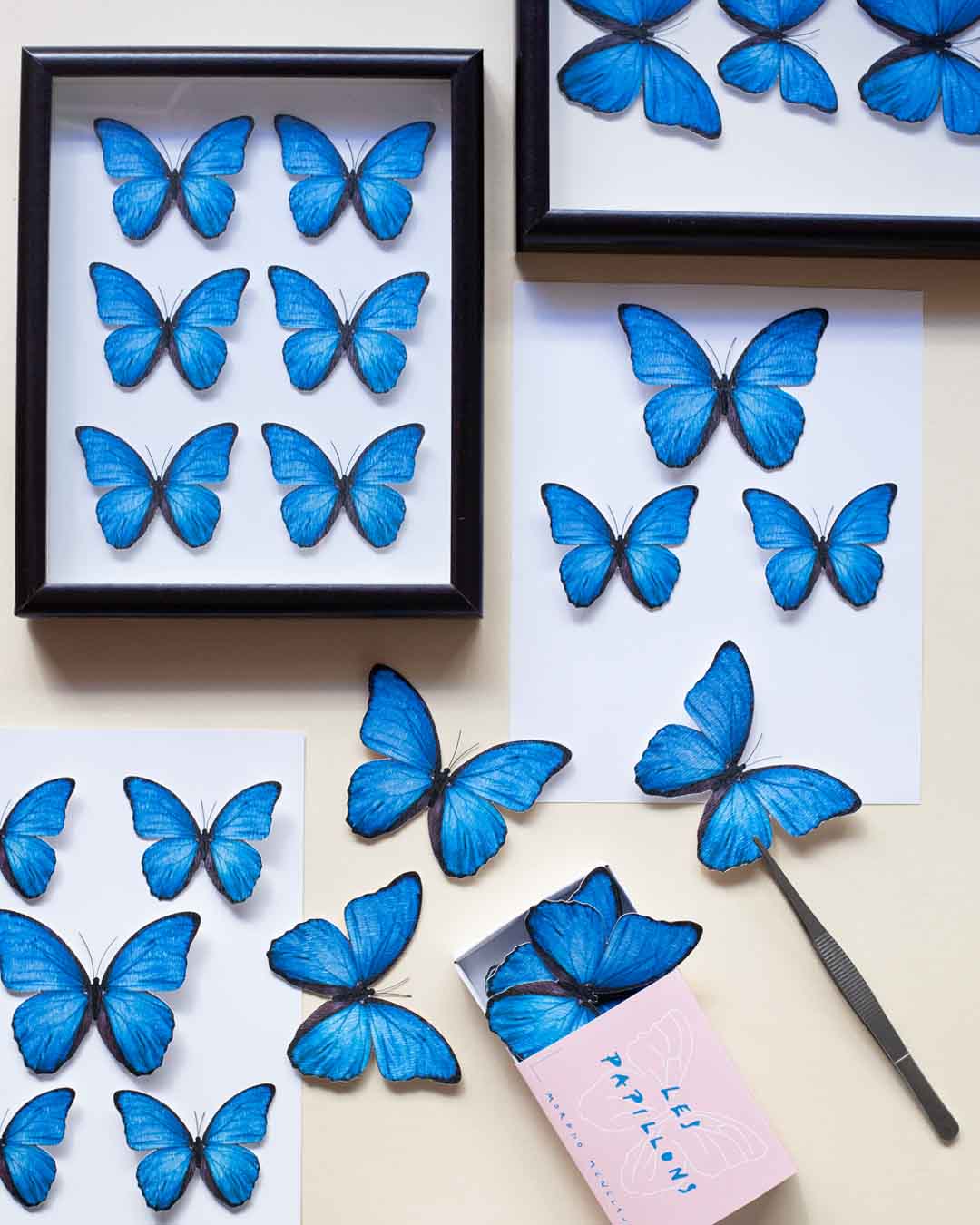 Proceso de armado de cuadros entomológicos con mariposas azules de cartulina