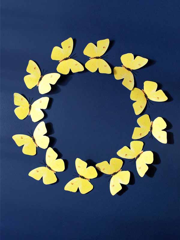mariposas decorativas en patrón circular para decoración de paredes