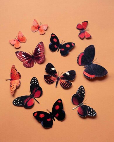 Mariposas de cartulina premium en tonos rojos y negros para decoración de pared maximalista