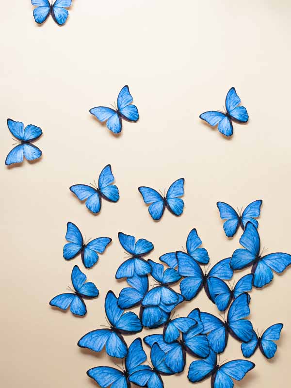 mariposas decorativas azules puestas en motivo orgánico en pared