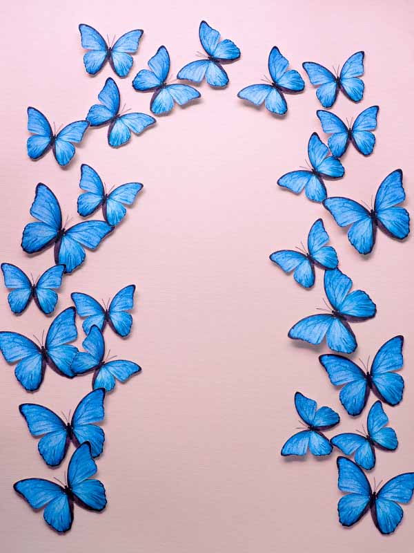 mariposas 3d azules formando un arco para ambientación de paredes